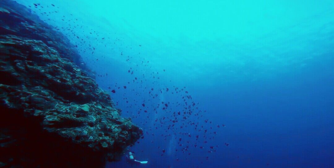 深海